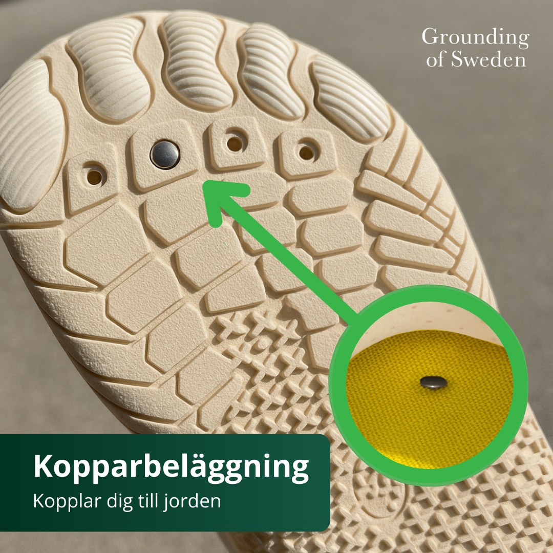 Känn Dig På Topp Hela Dagen Med Våra Jordande Barfotaskor 2.0
