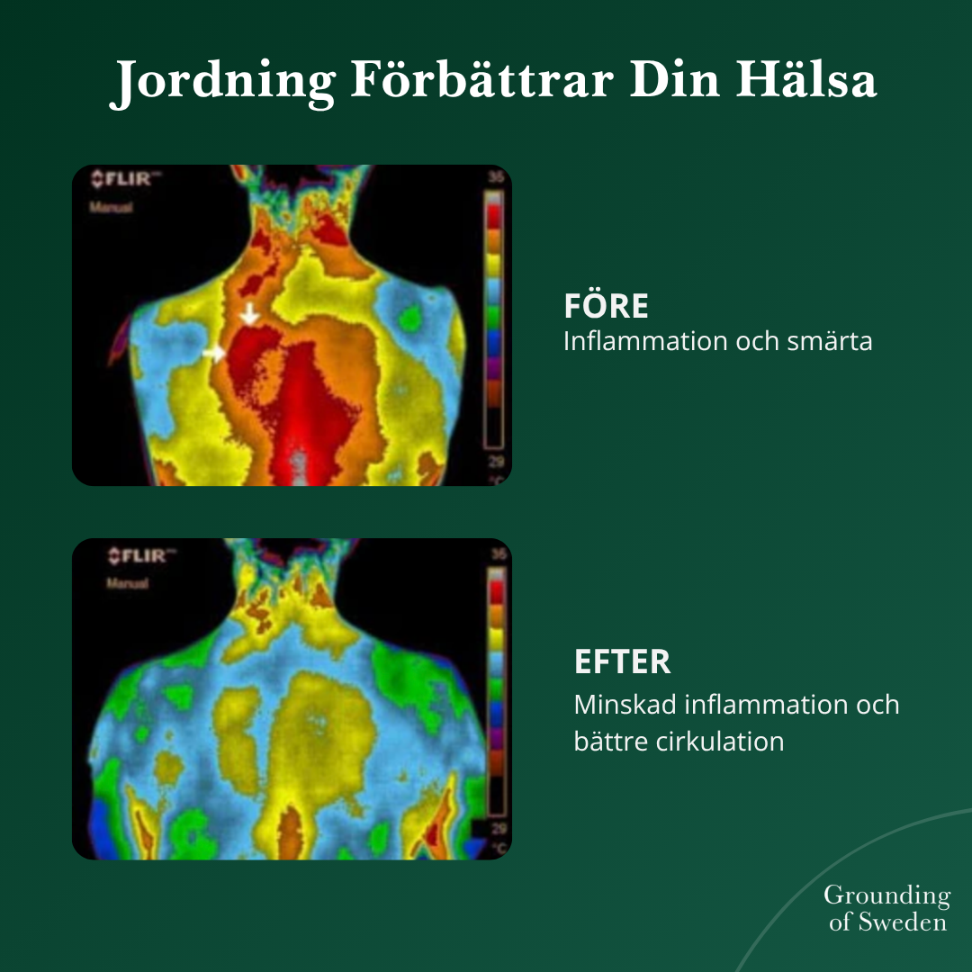Känn Dig På Topp Hela Dagen Med Våra Allväders Jordande Barfotaskor