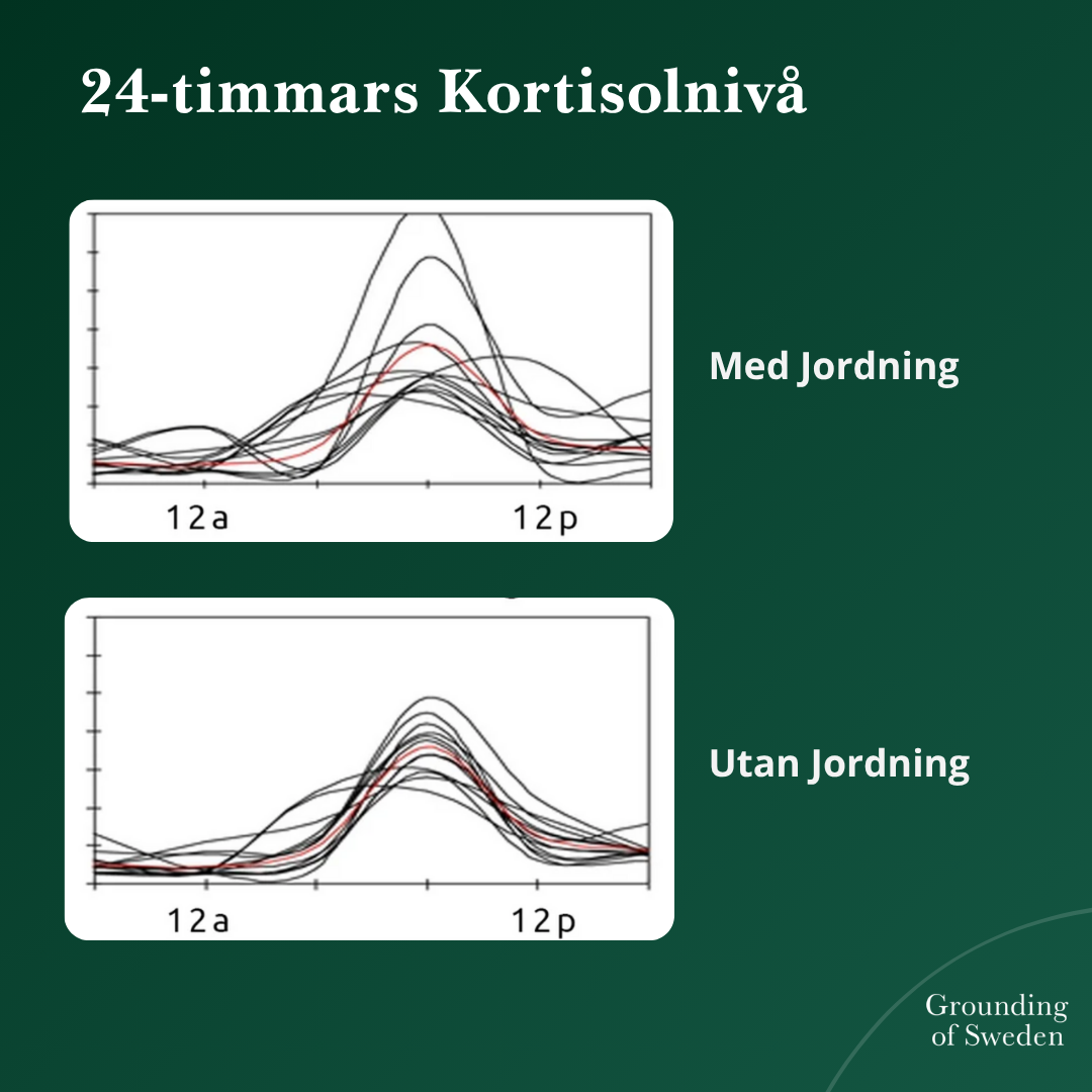 Känn Dig På Topp Hela Dagen Med Våra Jordande Barfotaskor 2.0