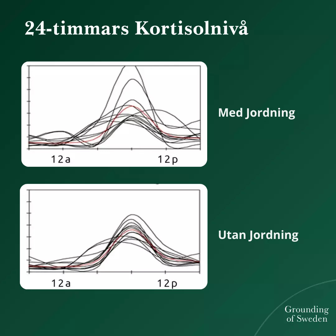 Känn Dig På Topp Hela Dagen Med Våra Jordande Barfotaskor 2.0