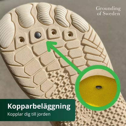 Känn Dig På Topp Hela Dagen Med Våra Jordande Barfotaskor 2.0
