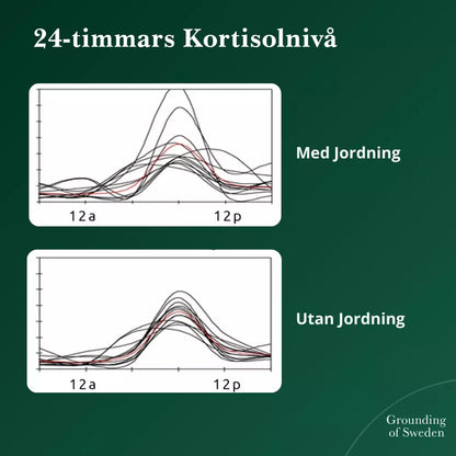 Känn Dig På Topp Hela Dagen Med Våra Jordande Barfotaskor